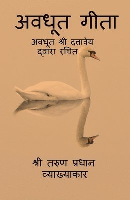 Vyakhyakar Pradhaan, Pradhaan,Vyakhyakar - Awadhoot Geeta / अवधूत गीता, Häftad