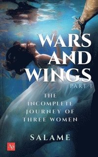 bokomslag Wars And Wings