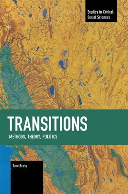 bokomslag Transitions: Methods, Theory, Politics Transitions