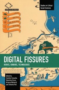 bokomslag Digital Fissures