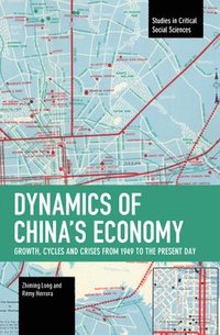 bokomslag Dynamics of China's Economy