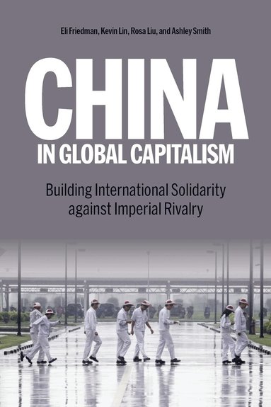 Kevin Lin, Rosa Liu, Eli Friedman, Ashley Smith - China in Global Capitalism, Häftad