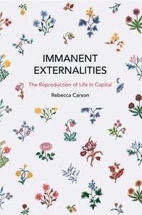 bokomslag Immanent Externalities