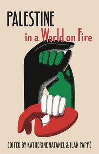 bokomslag Palestine in a World on Fire