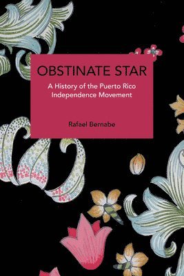 bokomslag Obstinate Star