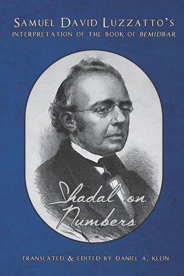 Daniel a Klein, Samuel David Luzzatto, Daniel a. Klein, Daniel A. Klein - Shadal on Numbers, Häftad