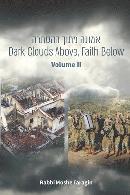 bokomslag Dark Clouds Above, Faith Below (Volume II)