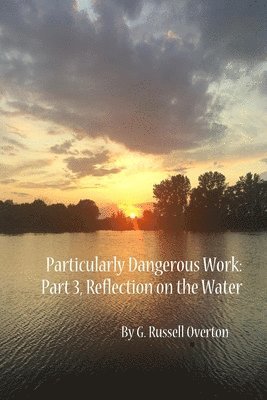 bokomslag Particularly Dangerous Work