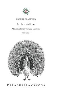 bokomslag Espiritualidad - Volumen 1