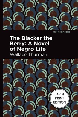 bokomslag The Blacker the Berry: A Novel of Negro Life