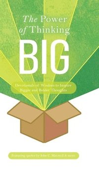 bokomslag Power of Thinking Big