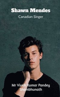 bokomslag Shawn Mendes