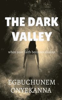 bokomslag The Dark Valley