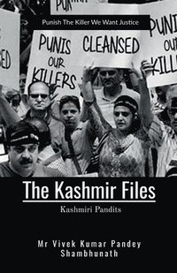 bokomslag The Kashmir Files