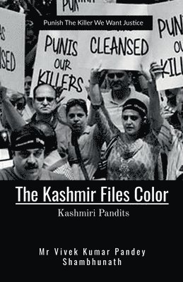 The Kashmir Files Color 1