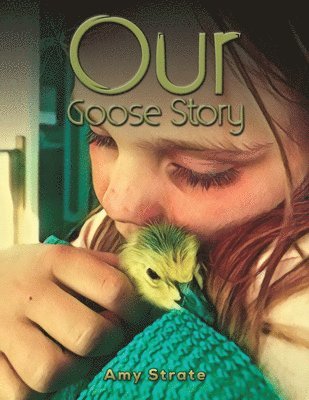 Our Goose Story 1