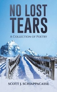 bokomslag No Lost Tears