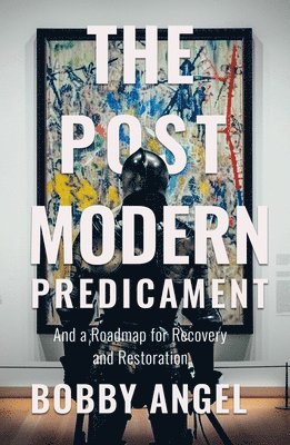 bokomslag The Postmodern Predicament