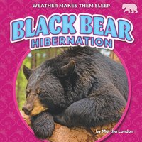 bokomslag Black Bear Hibernation
