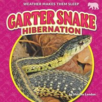bokomslag Garter Snake Hibernation