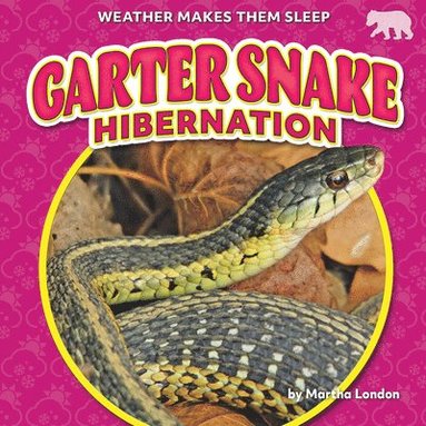 bokomslag Garter Snake Hibernation