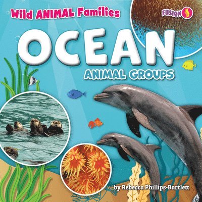 Ocean Animal Groups 1