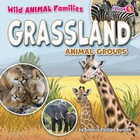 bokomslag Grassland Animal Groups