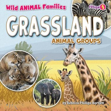 bokomslag Grassland Animal Groups