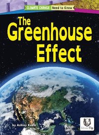 bokomslag The Greenhouse Effect