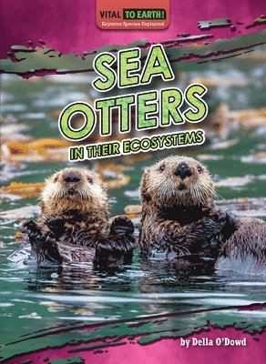 O'Dowd Della - Sea Otters in Their Ecosystems, Inbunden