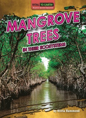 Mangrove Trees in Their Ecosystems 1