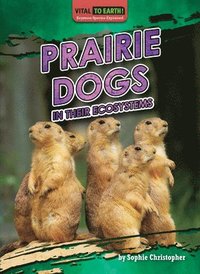 bokomslag Prairie Dogs in Their Ecosystems