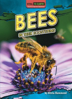 Bees in Their Ecosystems 1