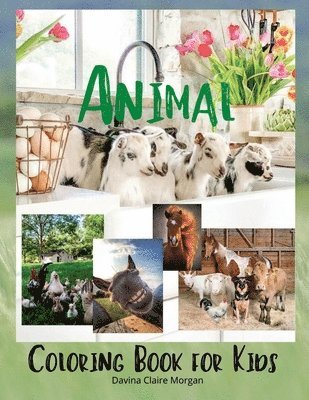 bokomslag Animal Coloring Book for Kids