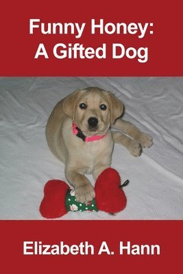 Funny Honey: A Gifted Dog 1
