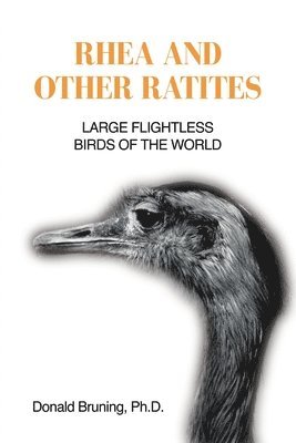 bokomslag Rhea and Other Ratites