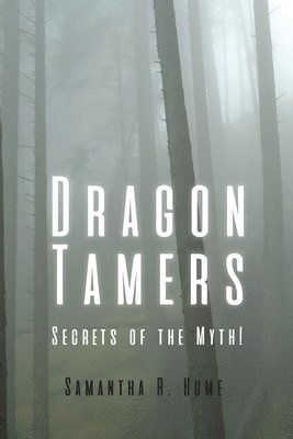 bokomslag Dragon Tamers
