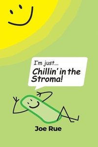 bokomslag Chillin' in the Stroma