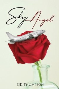 bokomslag Sky Angel