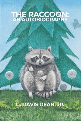 bokomslag The Raccoon