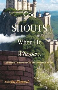 bokomslag God Shouts When He Whispers: A Personal Testimony of God's Involvement in My Life