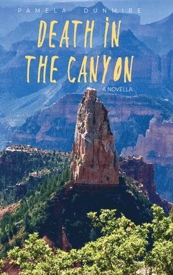 bokomslag Death in the Canyon