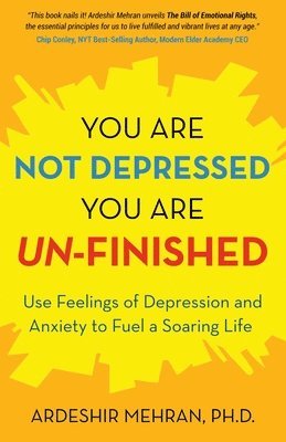 You Are Not Depressed. You Are Un-Finished. 1