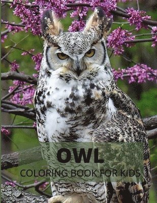 Davina Claire Morgan - Owl Coloring Book for Kids, Häftad