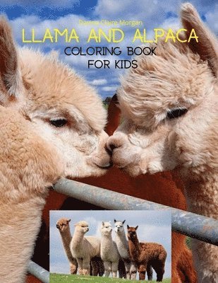 bokomslag Llama and Alpaca Coloring Book for Kids