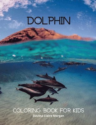 bokomslag Dolphin Coloring Book for Kids