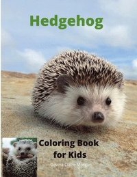 bokomslag Hedgehog Coloring Book for Kids