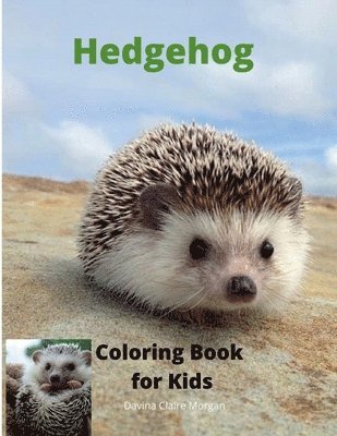 Hedgehog Coloring Book for Kids 1