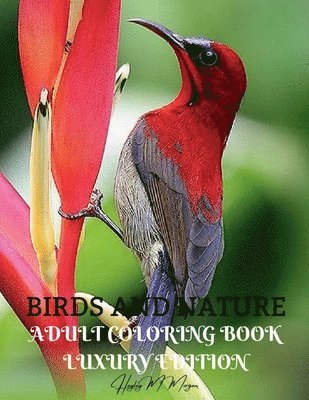 Birds and Nature Adult Coloring Book Luxury Edition 1