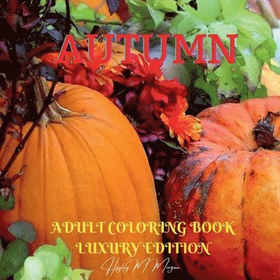 Hayley M Morgan, Hayley M. Morgan - Autumn Adult Coloring Book Luxury Edition, Häftad